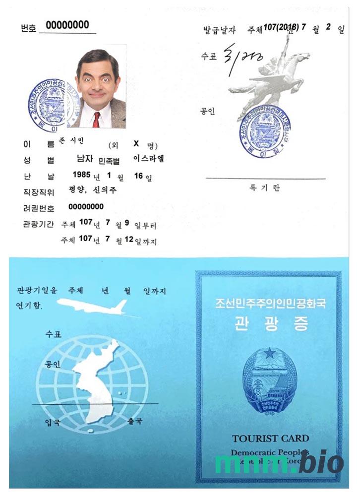 Korea tourist card